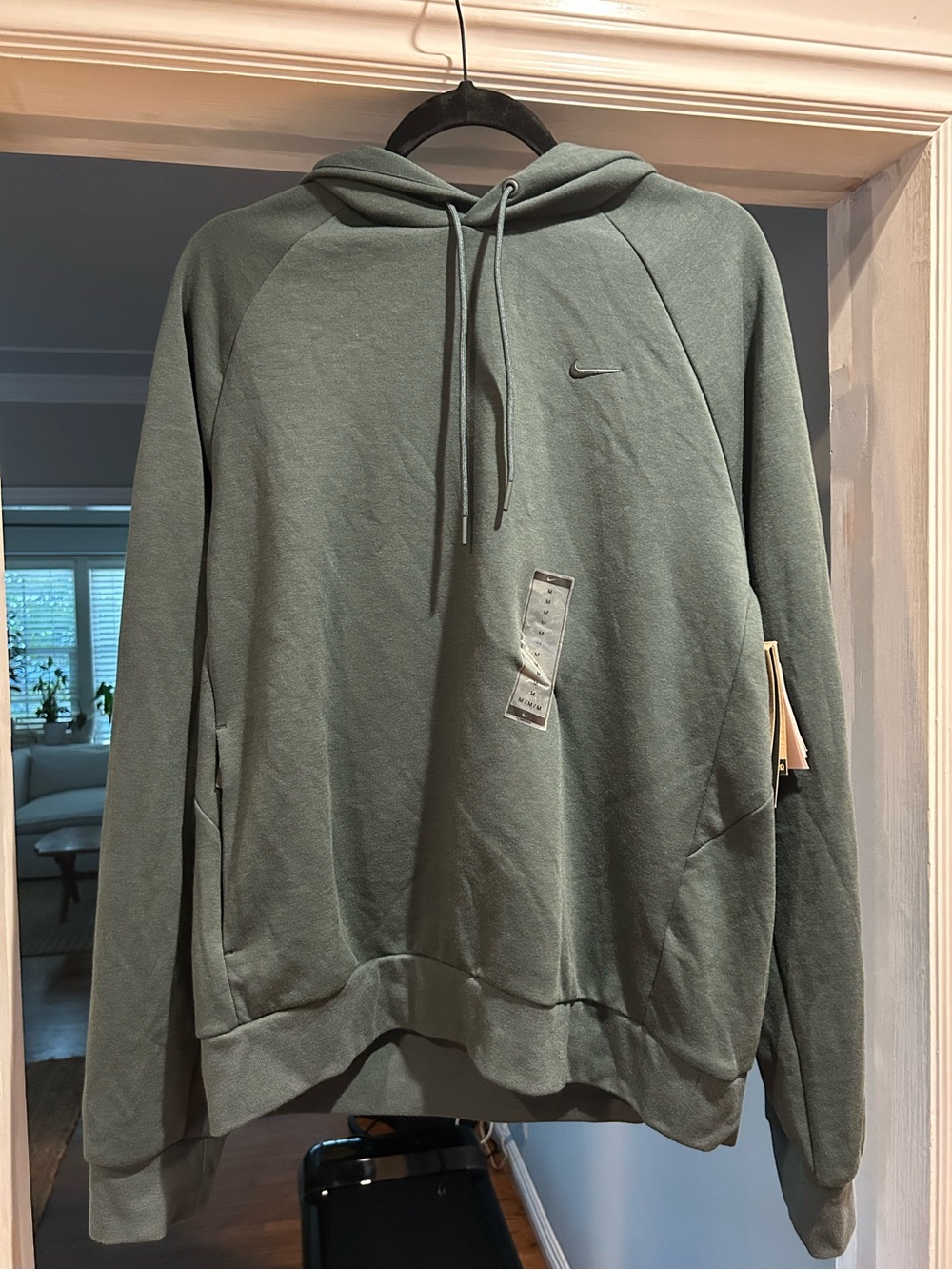 Nike Men's Sage Green Pullover Hoodie